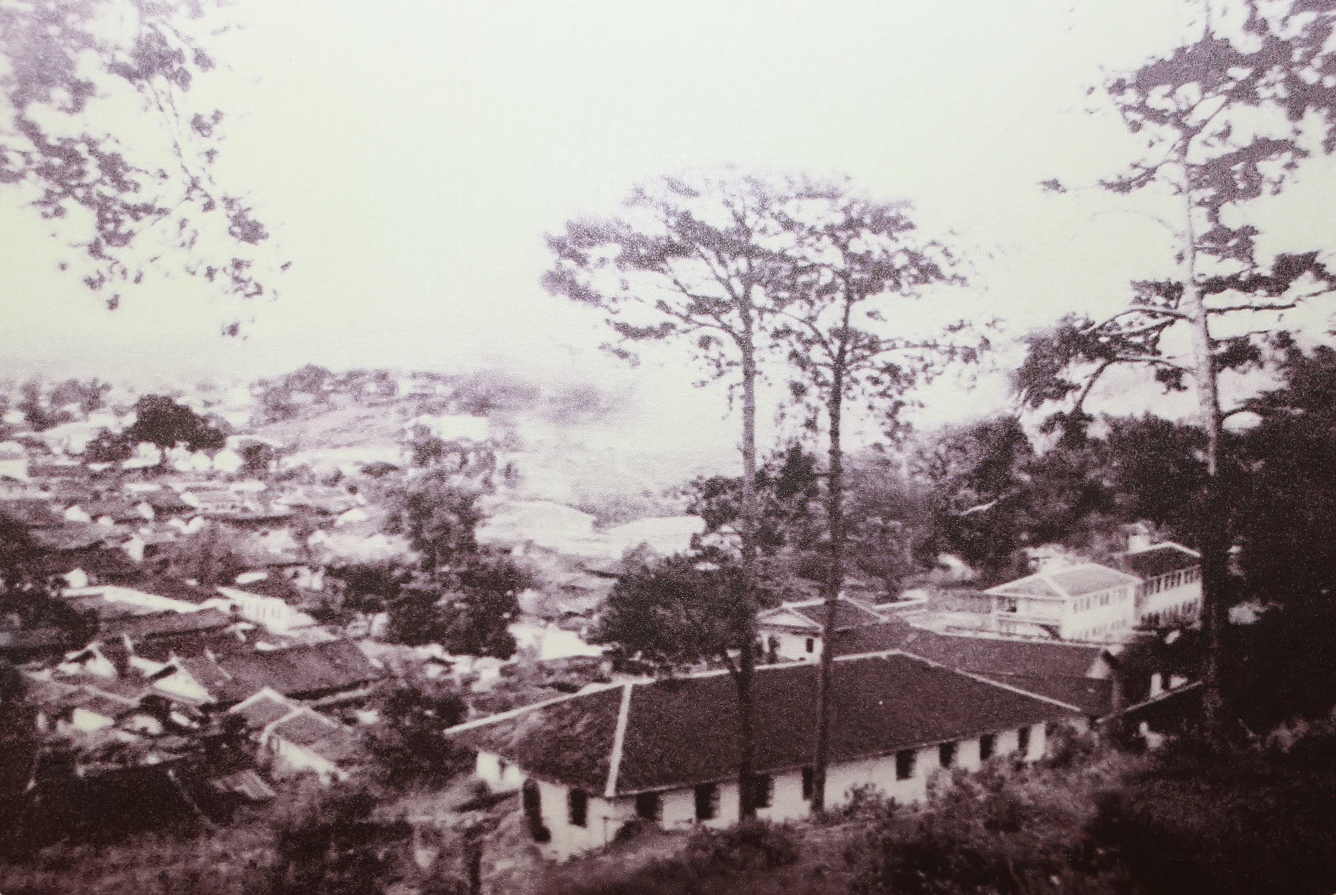 1642385565169105.jpg 1642385565169105.jpg