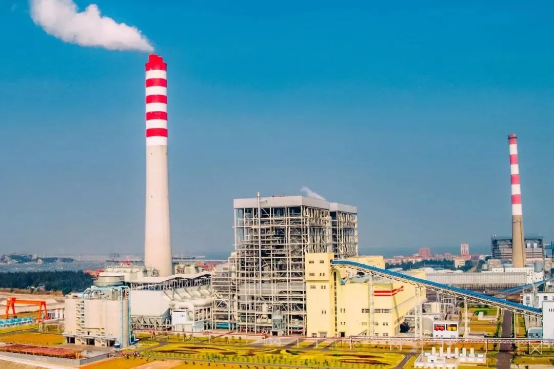 1642407112383846.jpg 1642407112383846.jpg