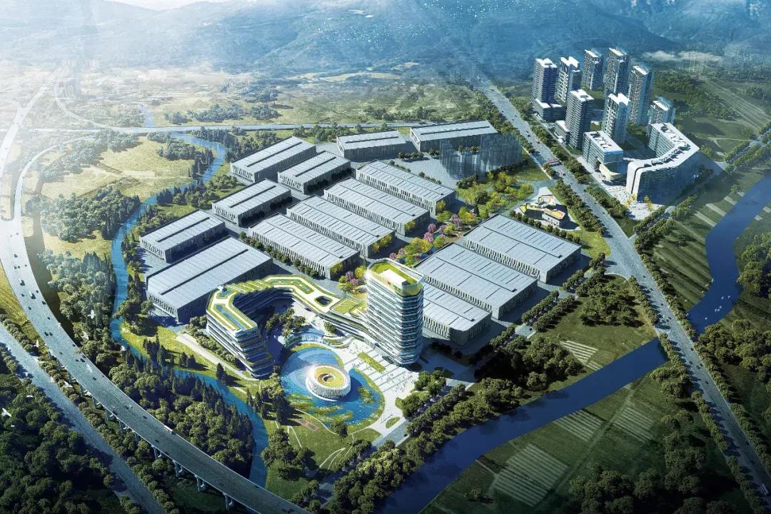 1642411446539861.jpg 1642411446539861.jpg