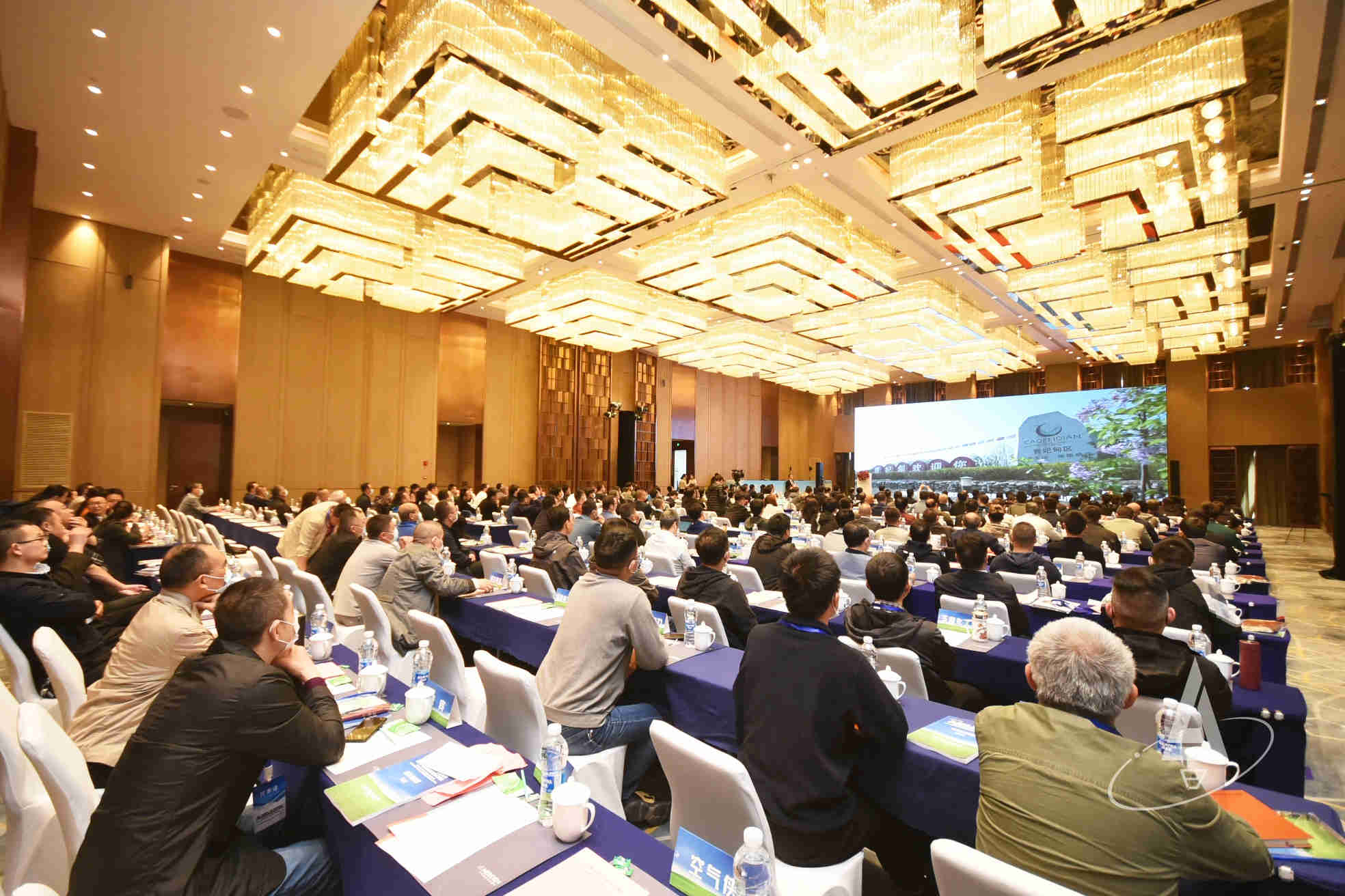 1643179279233083.jpg 1643179279233083.jpg