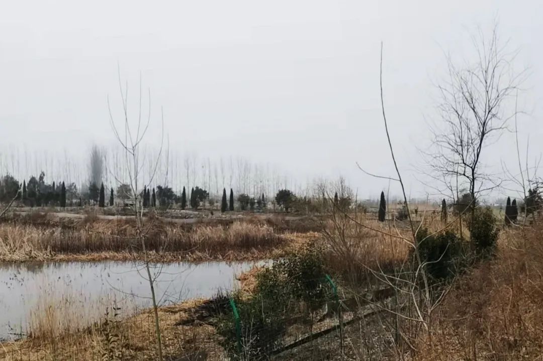 1648170644281155.jpg 1648170644281155.jpg